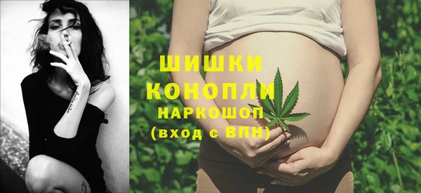ECSTASY Богородск