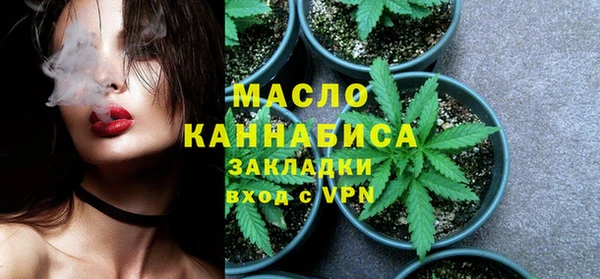 метадон Богданович