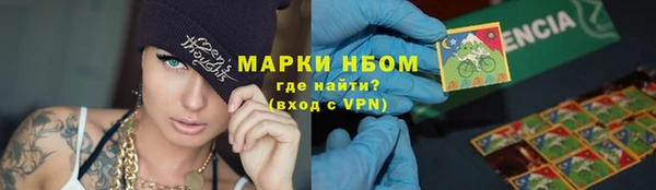 метадон Богданович