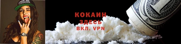 ECSTASY Богородск