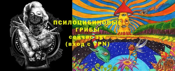 ECSTASY Богородск