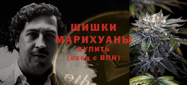 метадон Богданович