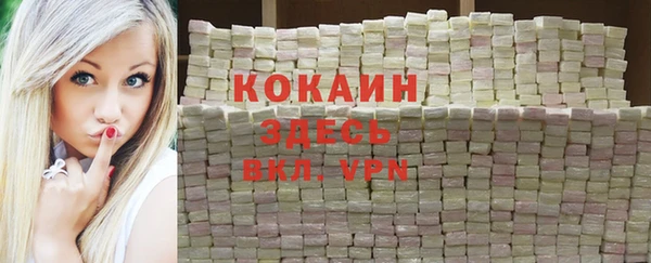 метадон Богданович