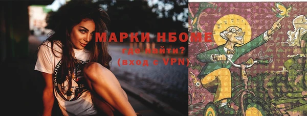 метадон Богданович